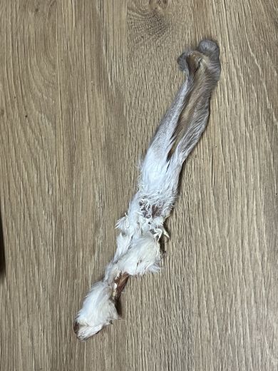 Kaninchenohr mit Fell in Premiumqualität