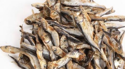 Große Sprotten 500g