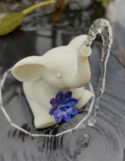 Eddi der Elefant