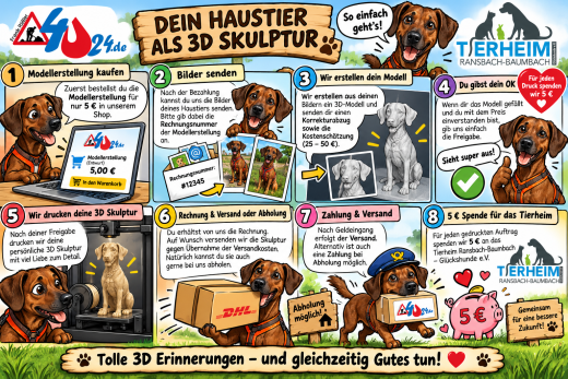 So kommt ihr zum 3D Druck
