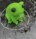 Frederick der Frosch