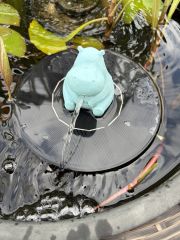 Freddi das Nilpferd